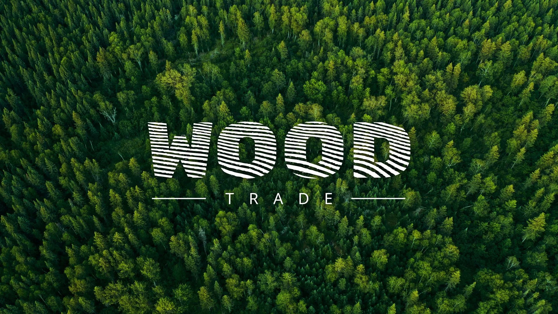 Разработка интернет-магазина компании «Wood Trade» в Тамбове